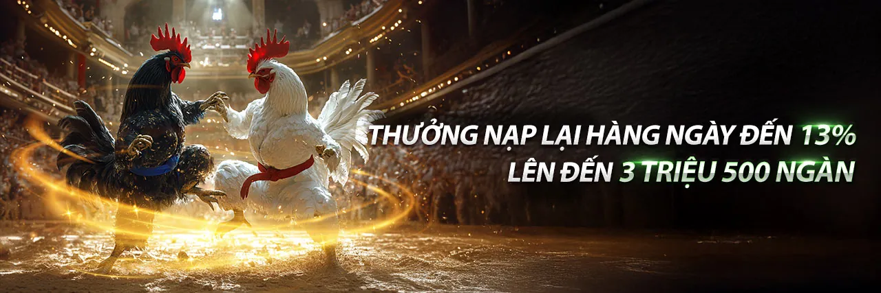 Hình nền đá gà trực tiếp 25/9